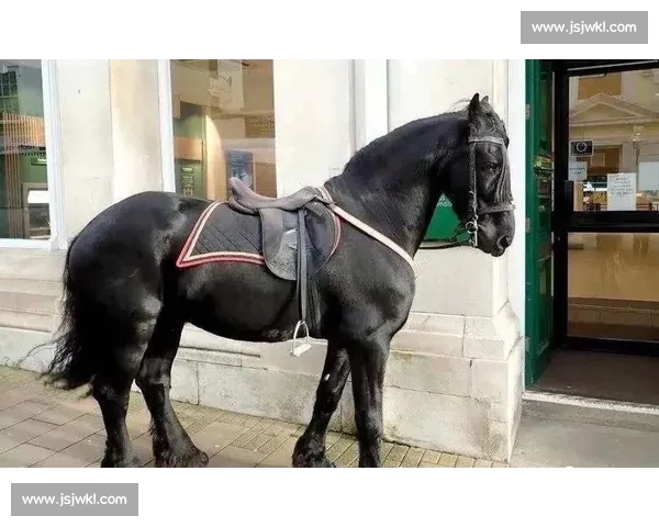 意外之喜!世界杯小组赛黑马姿态显现,黑白分明的赛场令人惊叹 意外之喜!世界杯小组赛黑马姿态显现,黑白分明的赛场令人惊叹